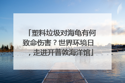塑料垃圾对海龟有何致命伤害？世界环境日，走进开普敦海洋馆